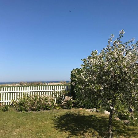Ferienwohnung Fritzi Glowe Eksteriør bilde